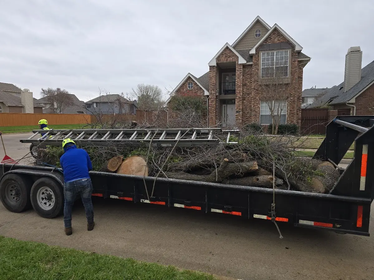 Expert Tree Pest Control with proper safety equipment in Cheshire